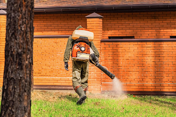 Bed Bug Clearance Verification and Documentation in Boonville